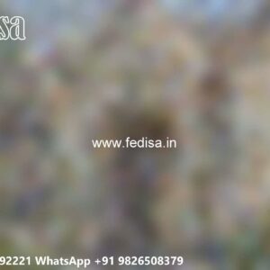Classic House Design with Decorative Wall Textures No-10562